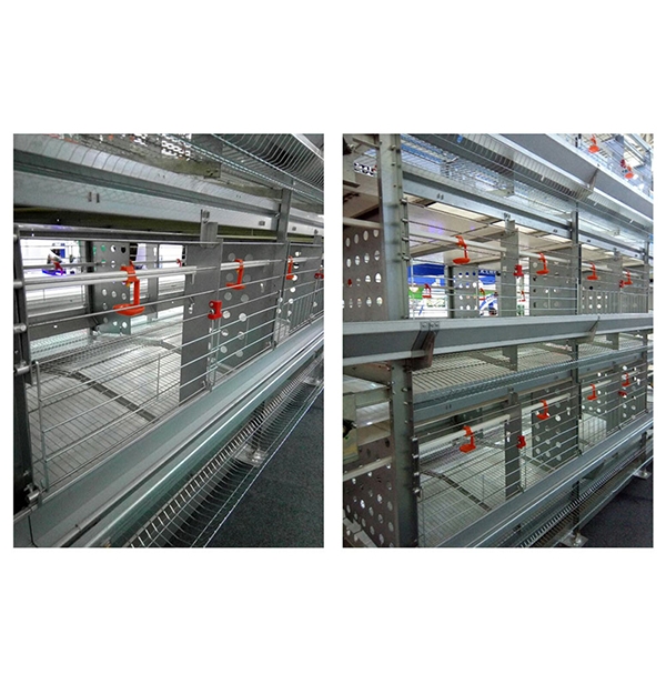 北京层叠式种鸡笼养装备