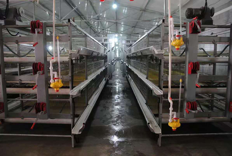 你知道肉鸡装备加料机的组成吗？？？？