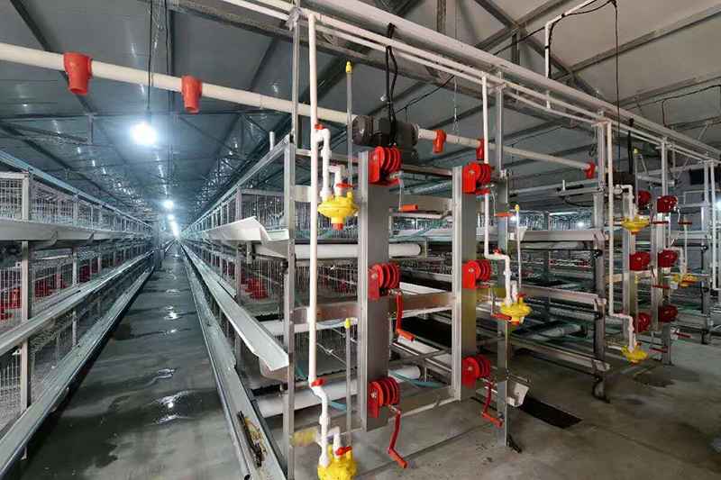 全自动养鸡装备的种类及特点你知道吗？？？？？