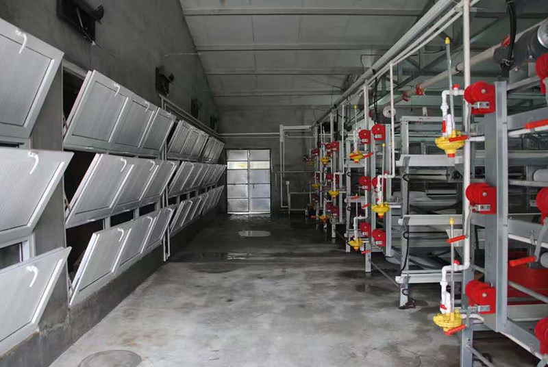 怎样治理肉鸡养殖场的肉鸡装备？？？？？