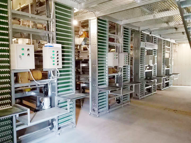 蛋鸡装备的养殖密度是怎样的呢？？？