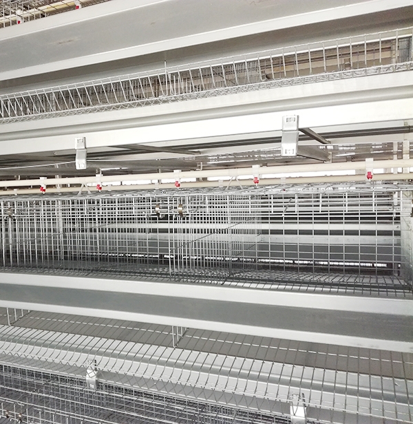 蛋鸡装备应该怎样选。。。。？？？？？？蹊径式好照旧层叠式好呢？？？？？？